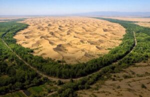 จีนล้ำหน้า! ใช้ “จุลินทรีย์” เสกทรายทะเลทรายให้กลายเป็นดิน แข็งแรงทนทานภายในไม่กี่เดือน จีนใช้จุลินทรีย์เปลี่ยนทรายเป็นดิน นวัตกรรมกู้โลกแก้ทะเลทราย