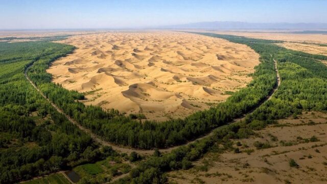 จีนใช้จุลินทรีย์เปลี่ยนทรายเป็นดิน นวัตกรรมกู้โลกแก้ทะเลทราย